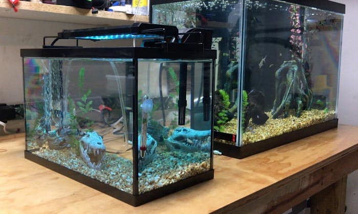 20 gallon fish tank with lid