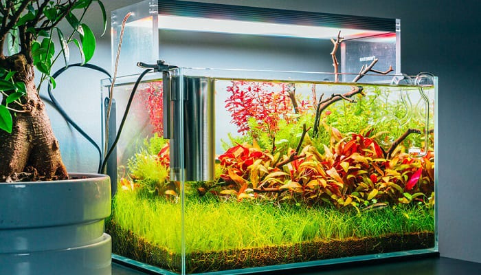 Nano-fish-tanks