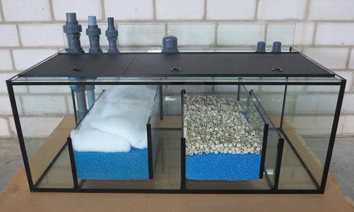 Best Aquarium  Sumps 2022 Get aquarium  fish