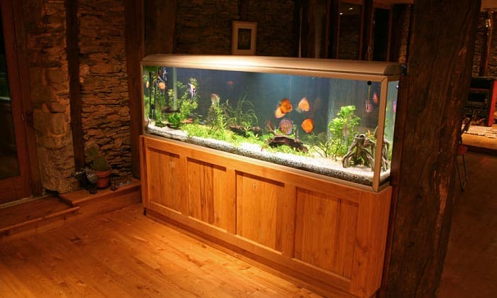 The Best Aquarium Stand 2020