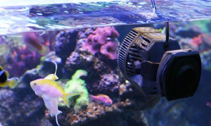 Wave Maker for 10 Gallon Tank