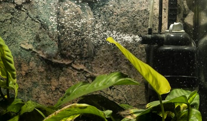 small-aquarium-filter-01